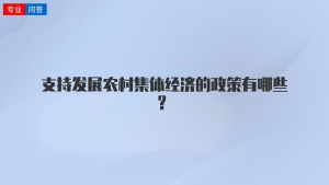 支持发展农村集体经济的政策有哪些？