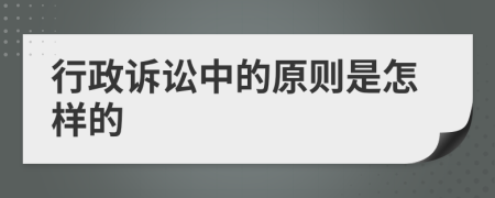 行政诉讼中的原则是怎样的