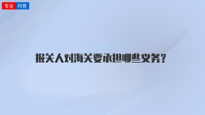 报关人对海关要承担哪些义务？