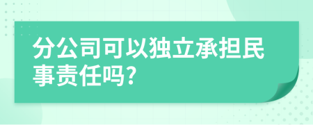 分公司可以独立承担民事责任吗?