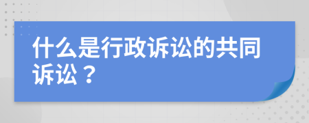 什么是行政诉讼的共同诉讼？