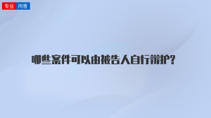 哪些案件可以由被告人自行辩护?