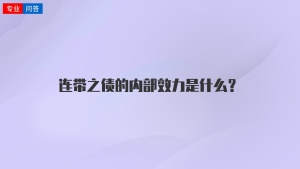 连带之债的内部效力是什么？