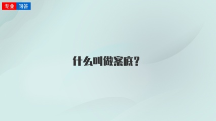 什么叫做案底？