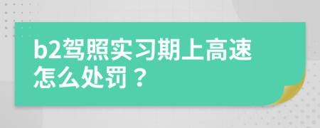 b2驾照实习期上高速怎么处罚？