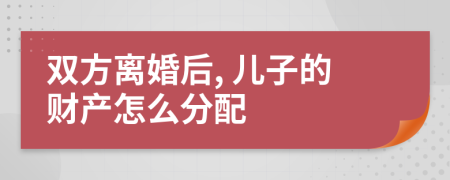 双方离婚后, 儿子的财产怎么分配
