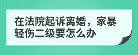 在法院起诉离婚，家暴轻伤二级要怎么办