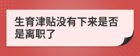 生育津贴没有下来是否是离职了