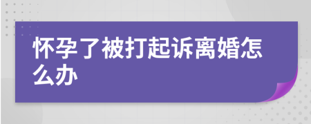 怀孕了被打起诉离婚怎么办