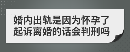 婚内出轨是因为怀孕了起诉离婚的话会判刑吗