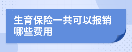 生育保险一共可以报销哪些费用