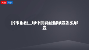 民事诉讼二审中的新证据审查怎么审查