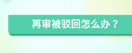 再审被驳回怎么办？