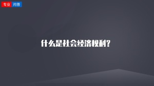 什么是社会经济权利？