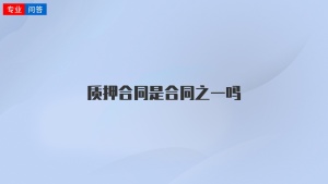 质押合同是合同之一吗