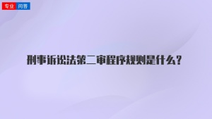 刑事诉讼法第二审程序规则是什么？