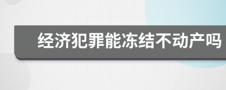 经济犯罪能冻结不动产吗