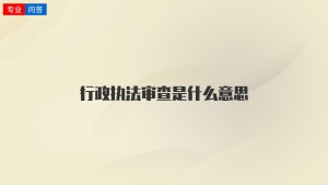 行政执法审查是什么意思