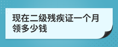 现在二级残疾证一个月领多少钱