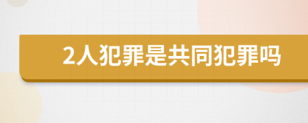 2人犯罪是共同犯罪吗