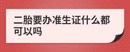 二胎要办准生证什么都可以吗