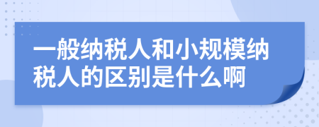 一般纳税人和小规模纳税人的区别是什么啊