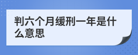 判六个月缓刑一年是什么意思