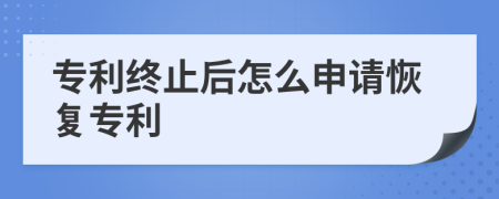 专利终止后怎么申请恢复专利