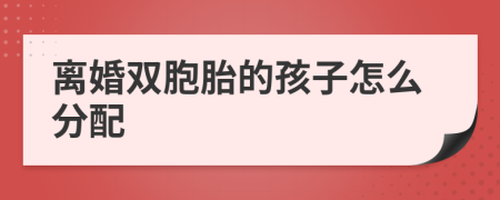 离婚双胞胎的孩子怎么分配