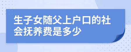 生子女随父上户口的社会抚养费是多少