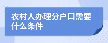 农村人办理分户口需要什么条件