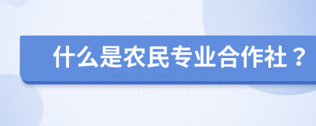 什么是农民专业合作社？