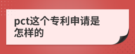 pct这个专利申请是怎样的