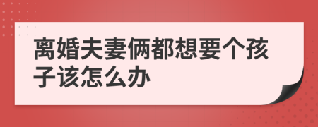 离婚夫妻俩都想要个孩子该怎么办