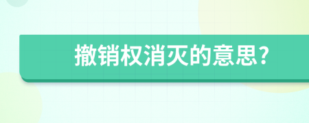 撤销权消灭的意思?