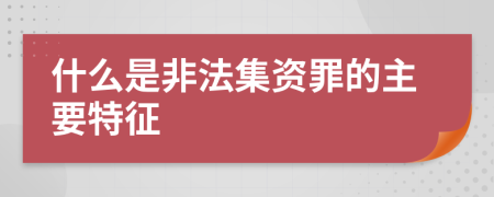 什么是非法集资罪的主要特征