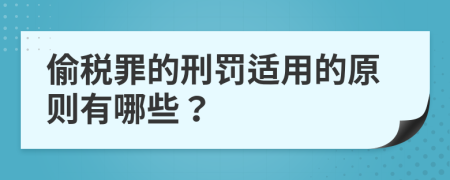 偷税罪的刑罚适用的原则有哪些？