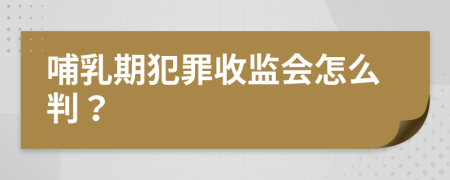 哺乳期犯罪收监会怎么判？