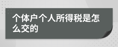 个体户个人所得税是怎么交的