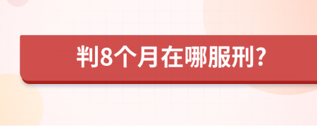 判8个月在哪服刑?