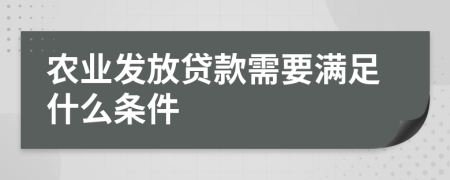 农业发放贷款需要满足什么条件