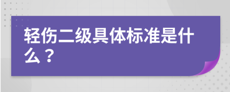 轻伤二级具体标准是什么？