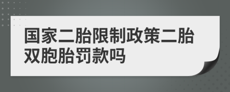 国家二胎限制政策二胎双胞胎罚款吗