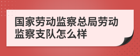 国家劳动监察总局劳动监察支队怎么样