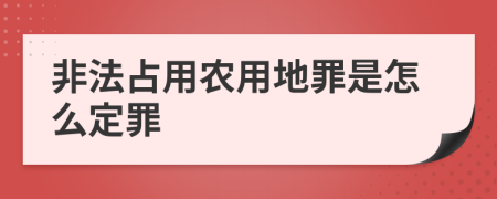 非法占用农用地罪是怎么定罪