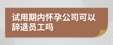 试用期内怀孕公司可以辞退员工吗