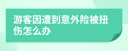 游客因遭到意外险被扭伤怎么办