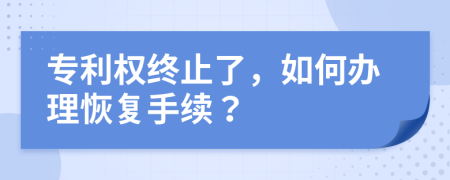 专利权终止了，如何办理恢复手续？