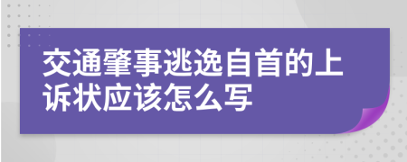 交通肇事逃逸自首的上诉状应该怎么写