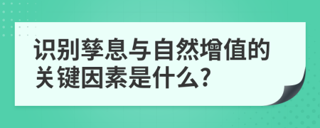 识别孳息与自然增值的关键因素是什么?